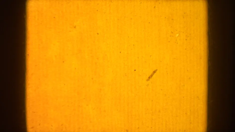 A warm amber 8mm film frame with dark borders, dust, scratches, and little visible scene detail.
