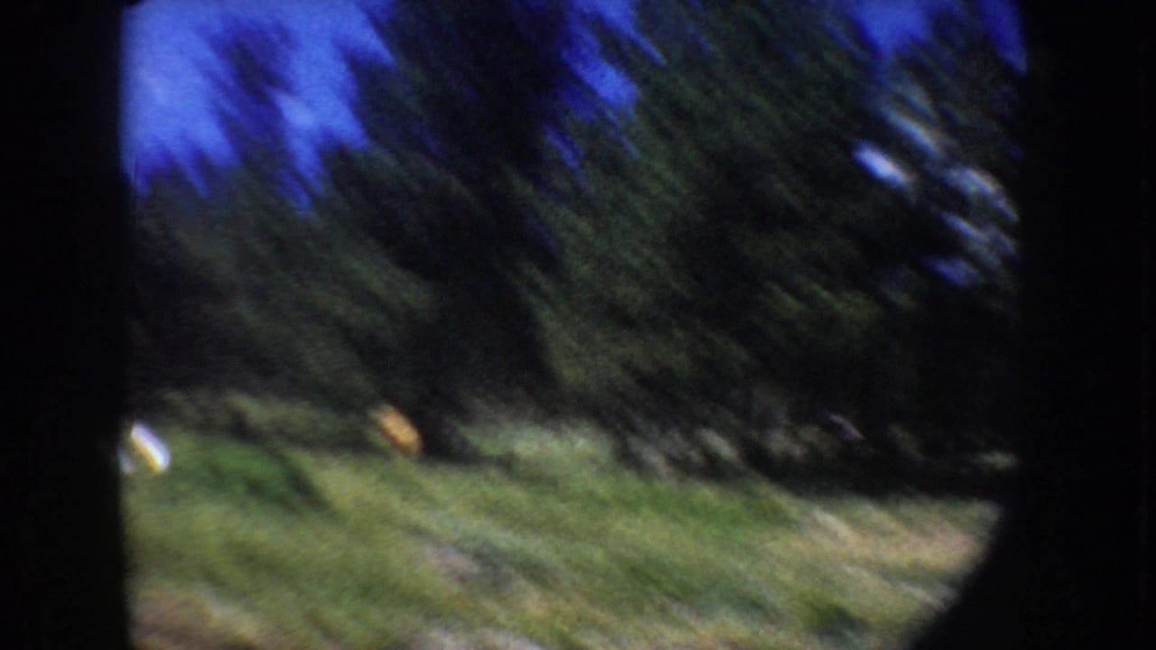 Blurred handheld view of grassy lakeshore and trees.