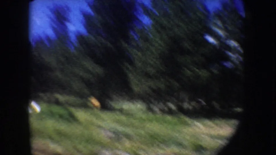 Soft, motion-blurred 1954 South Dakota lake footage showing grass, trees, and shoreline during a quick camera movement.