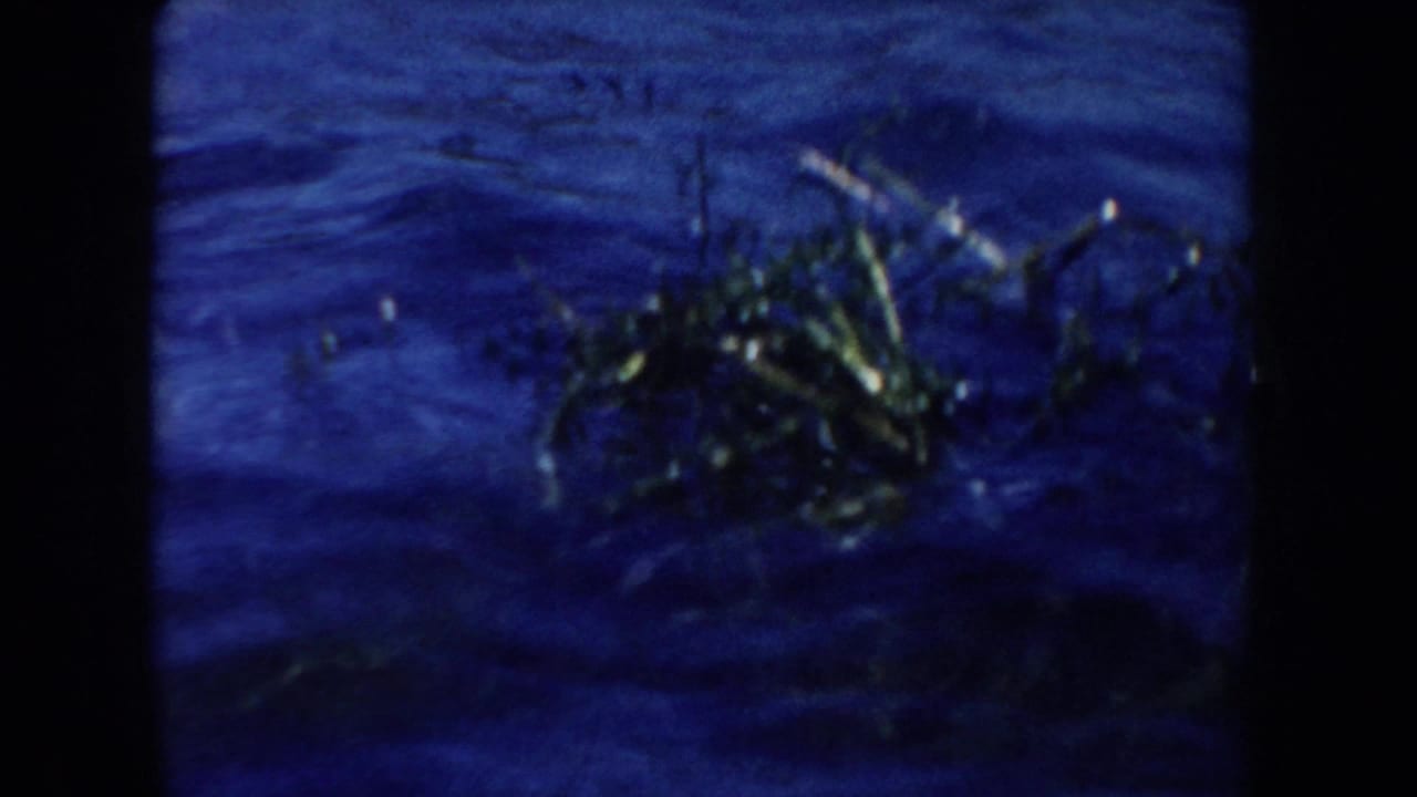 Soft 1954 South Dakota 8mm frame showing blue lake water with floating vegetation or debris near the surface.