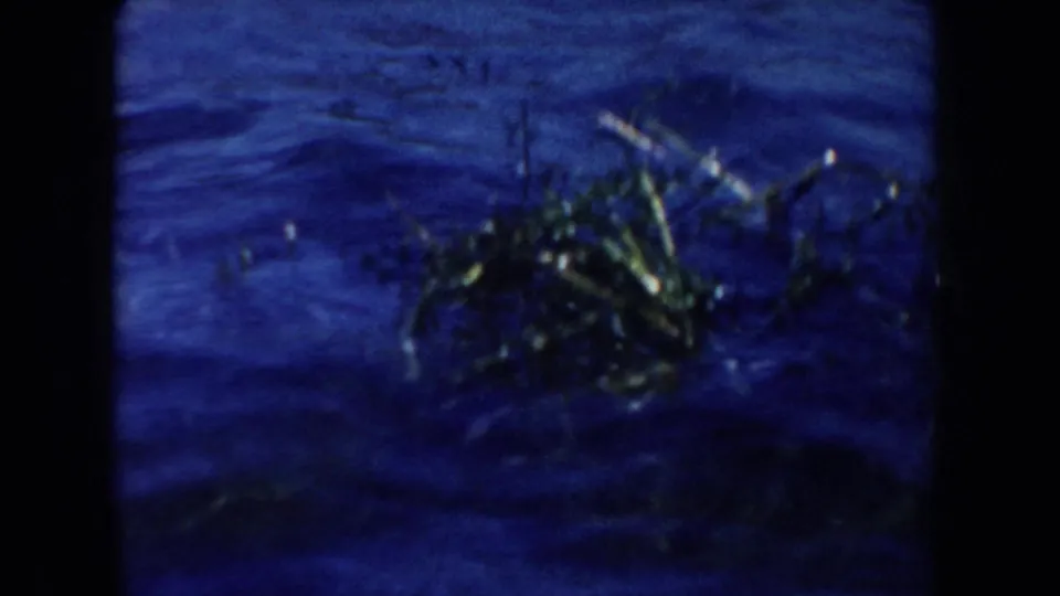 Soft 1954 South Dakota 8mm frame showing blue lake water with floating vegetation or debris near the surface.