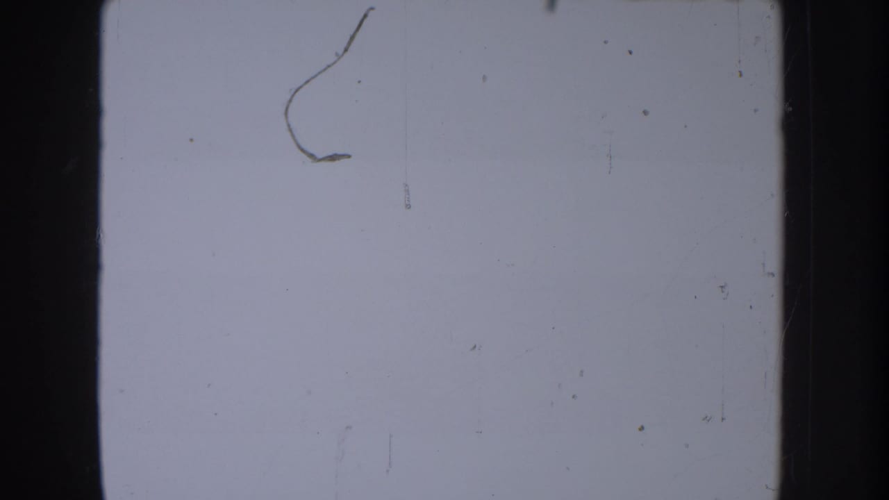 Pale 8mm frame with a visible curved scratch or hair-like mark, film borders and dust, likely part of a blank or overexposed section.