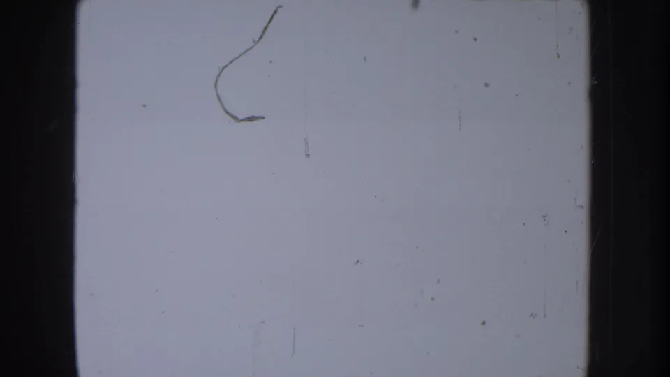 Pale 8mm frame with a visible curved scratch or hair-like mark, film borders and dust, likely part of a blank or overexposed section.