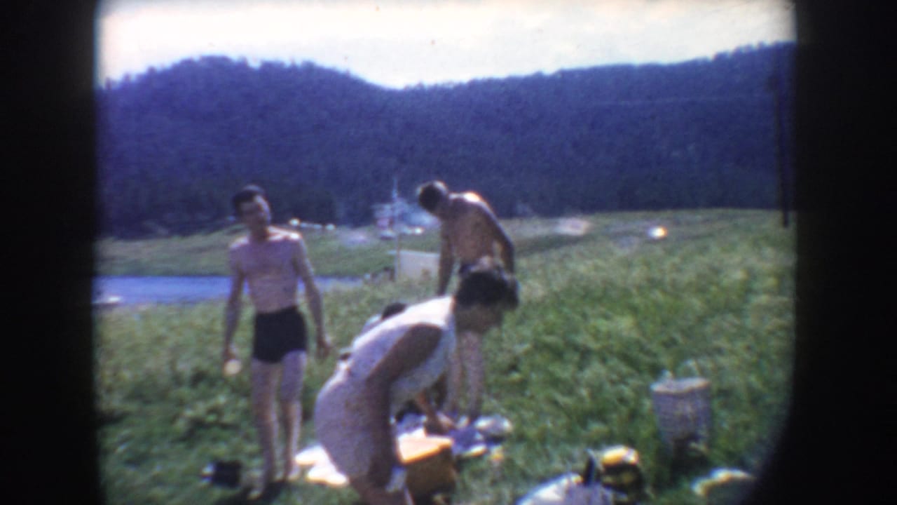 Adults move around picnic blankets on grass near a lake, with hills beyond the water.