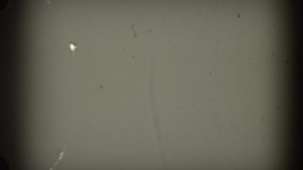 Pale wall or projection surface in a 1954 South Dakota 8mm frame, with dark edge vignetting and visible film dust.