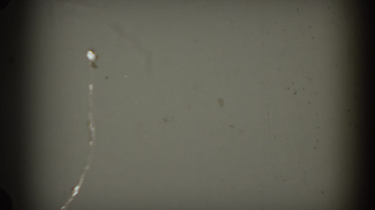 Soft 1954 South Dakota 8mm frame of a pale projection surface or wall, marked by dust, scratches, and edge darkening.