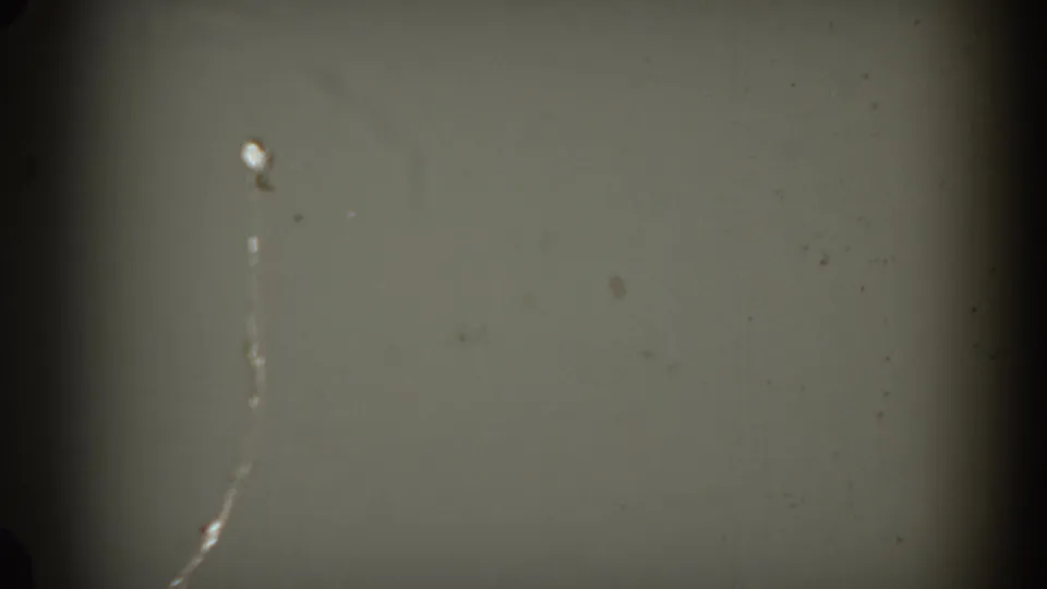 Soft 1954 South Dakota 8mm frame of a pale projection surface or wall, marked by dust, scratches, and edge darkening.