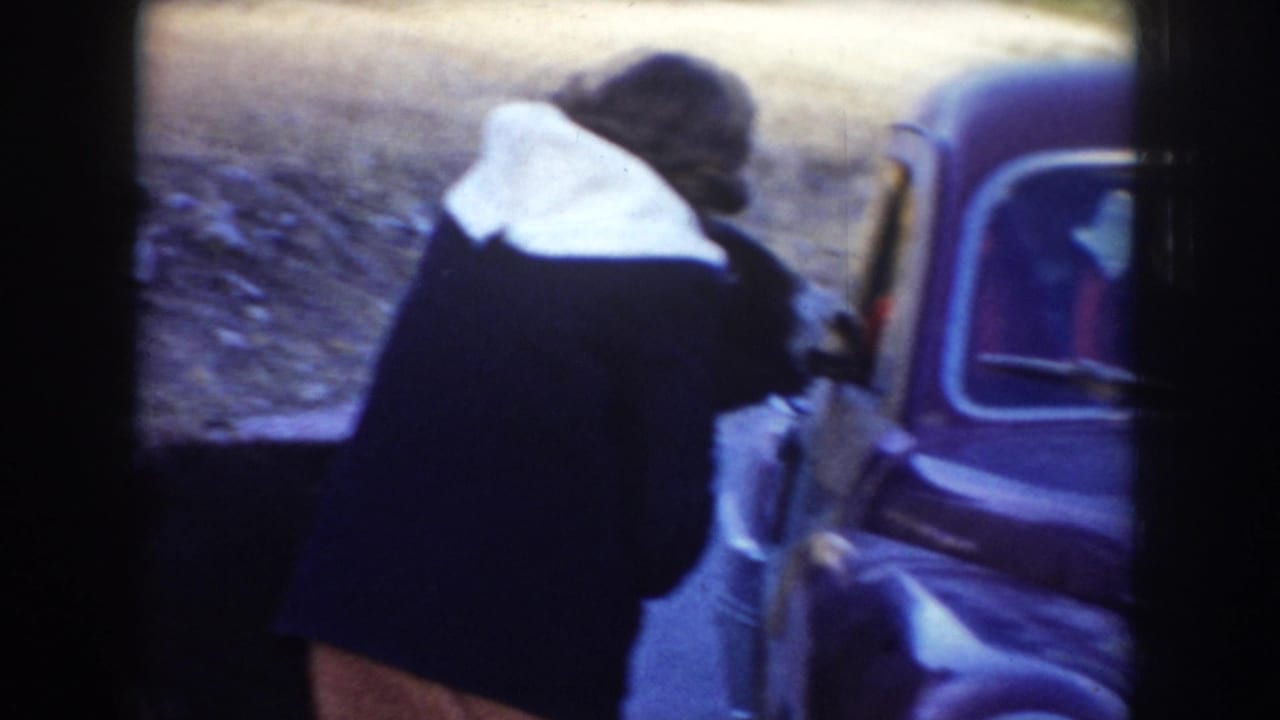 A woman in a dark coat with a white collar stands beside a stopped car in Idaho, appearing to handle or pet a donkey near the roadside.