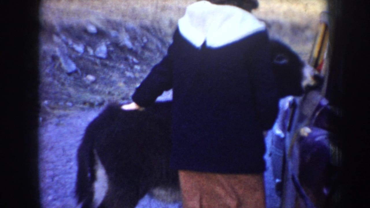 1955 Idaho home-movie frame of a woman in a dark coat reaching toward a dark donkey beside a car on a rural dirt shoulder.