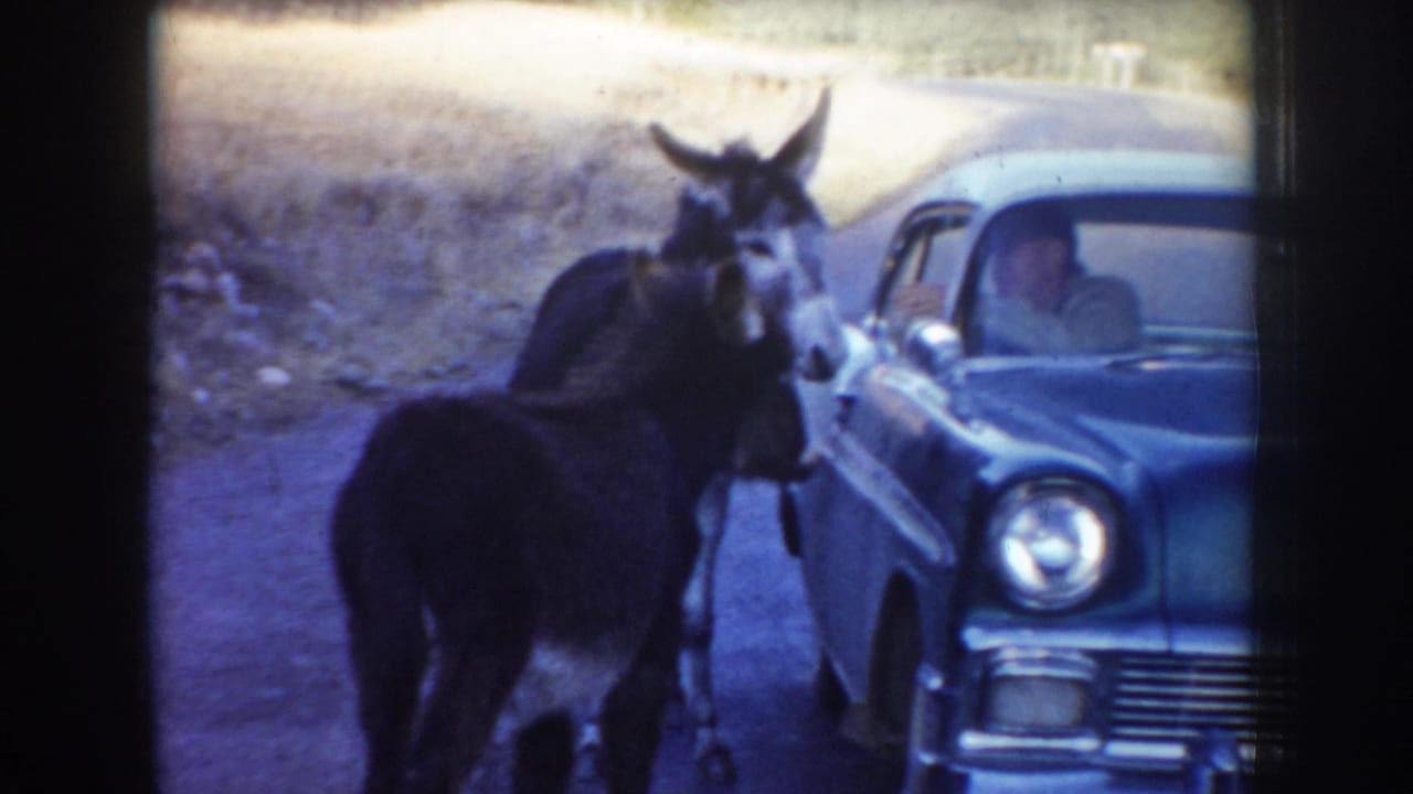 Two donkeys stand close to the front and side of a blue mid-century sedan in the supplied Idaho home-movie scene.