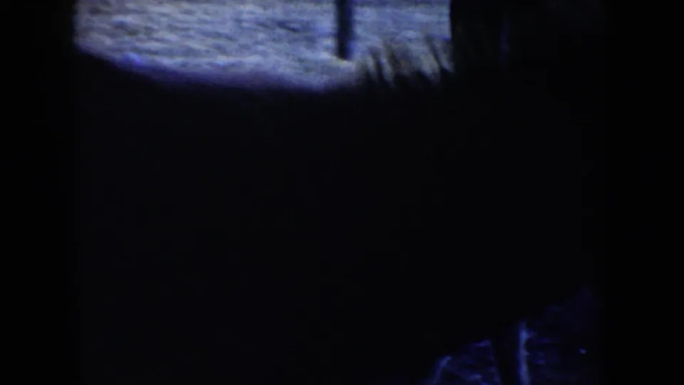 A burro moves through the foreground in soft 8mm focus, partly obscured by dark film edges and handheld framing.