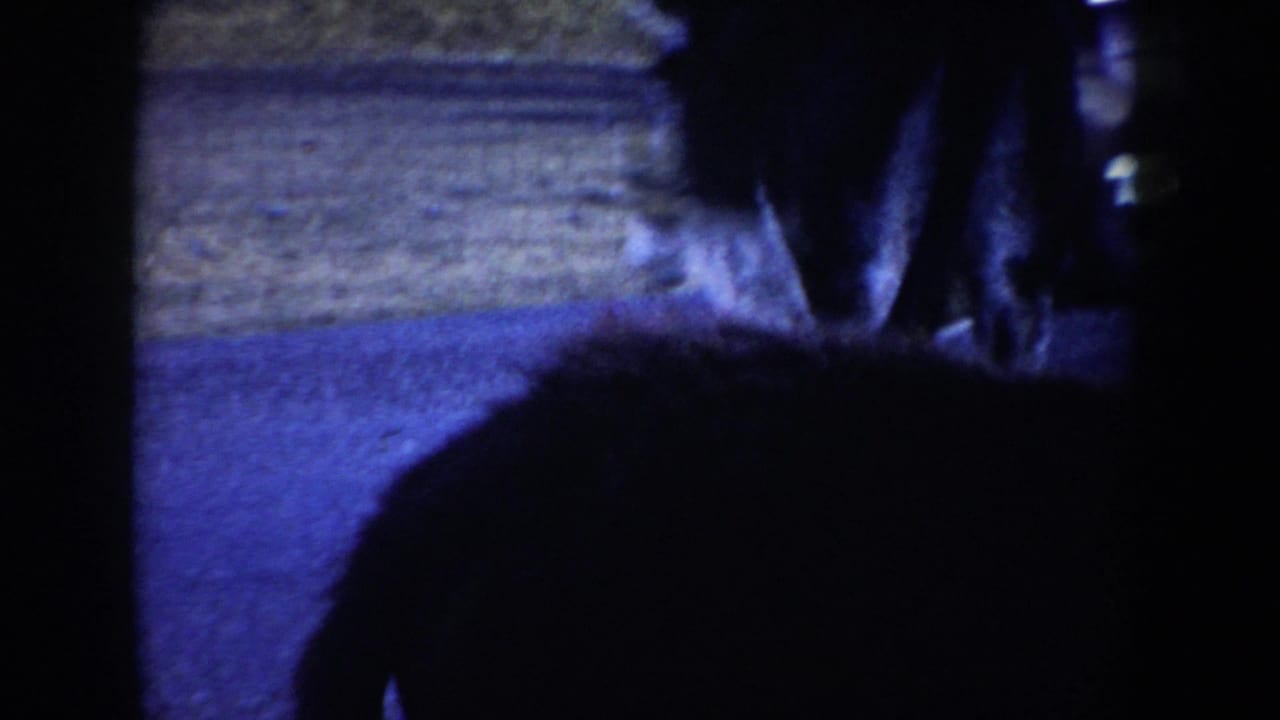 A burro fills the foreground near the rural road while the uniformed man and woman remain partly visible at the right edge.