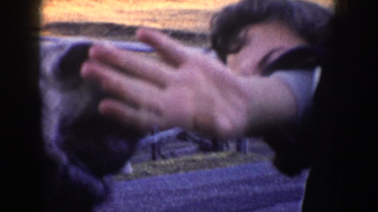A hand reaches toward the donkey during a close roadside interaction in Idaho 8mm home-movie footage from 1955.