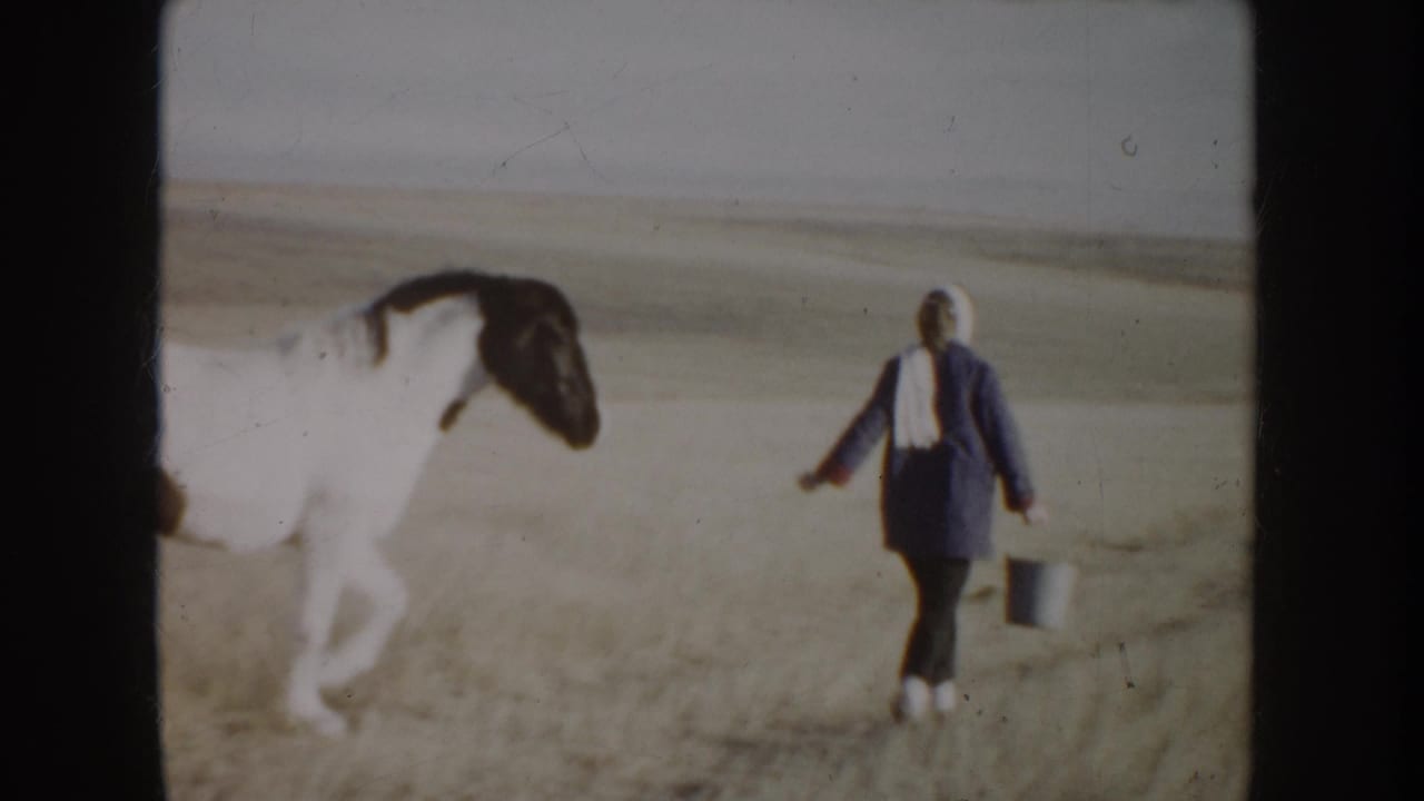 In 1955 Idaho home-movie footage, a person carrying a metal bucket walks near a white horse with dark markings in open grassland.