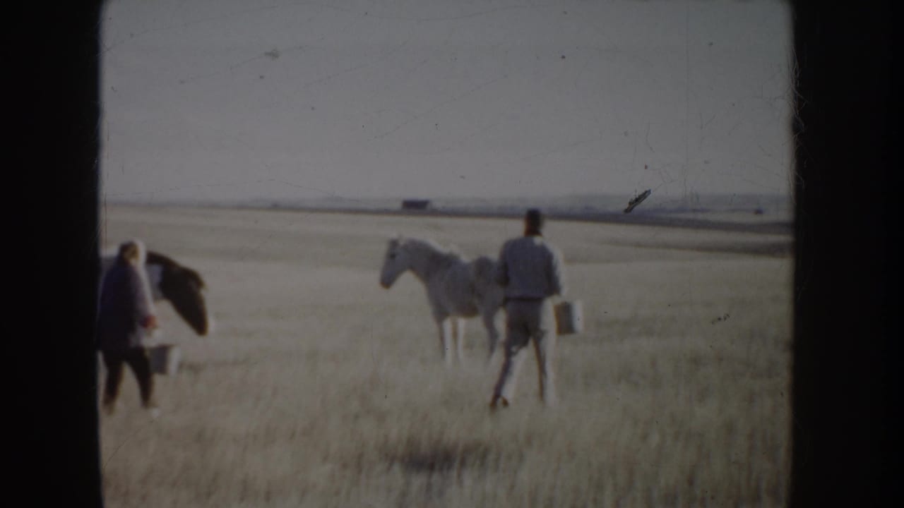 1955 Idaho home-movie frame showing caretakers near white and dark horses in a wide dry field, seen through dark vertical framing.