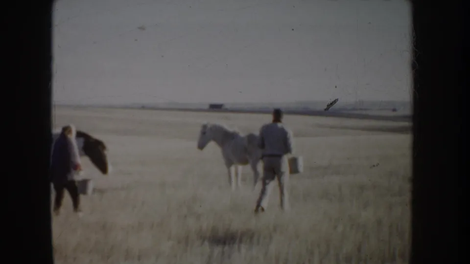 1955 Idaho home-movie frame showing caretakers near white and dark horses in a wide dry field, seen through dark vertical framing.