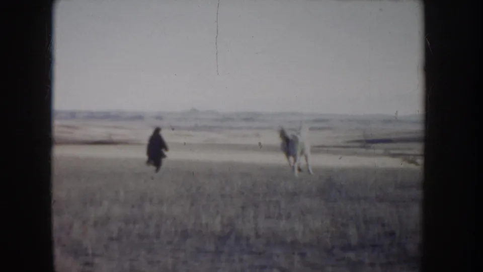 In the final 1955 Idaho frame, a dark-clothed figure walks away through the dry field with a white horse off to the right.