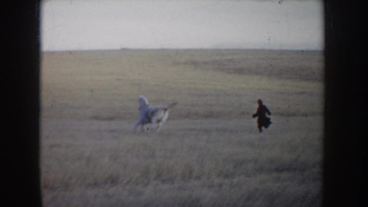 1955 Idaho home-movie frame with a white horse and a distant person moving across open prairie under a pale sky.