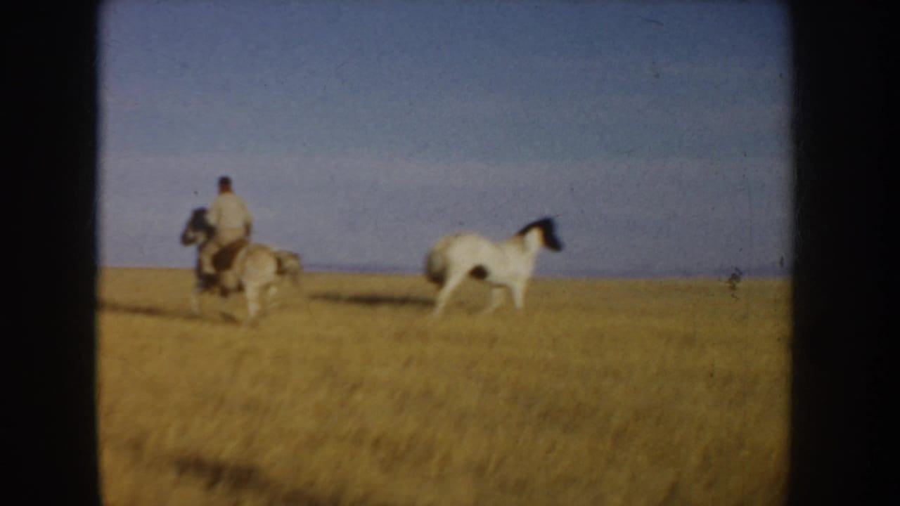 A distant rider moves across open Idaho grassland in 1955 home-movie footage, with another horse visible against the blue sky.