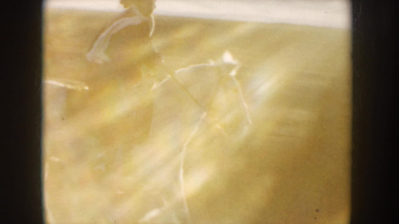 Faint 1955 Idaho home-movie frame showing a rider and horse partly obscured by strong flare and warm 8mm exposure.