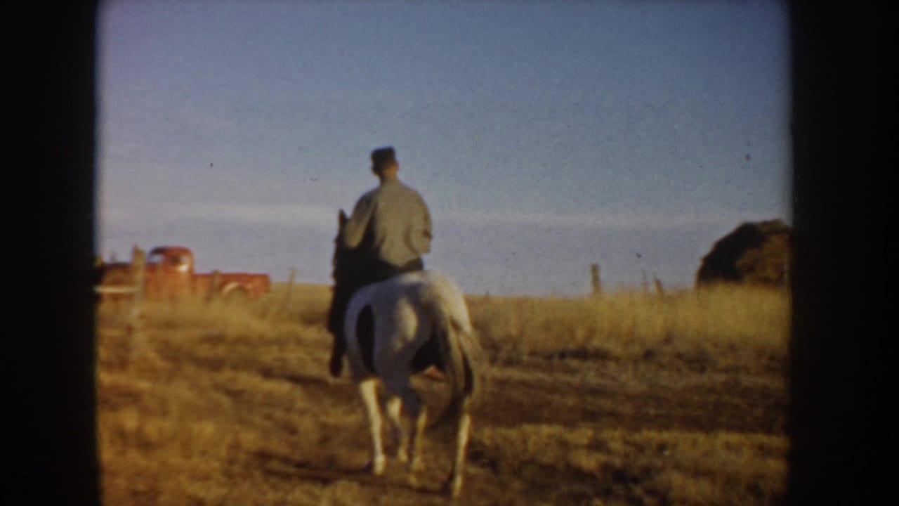 Man on a white horse rides through a field with a red truck and hay bale in the distance.