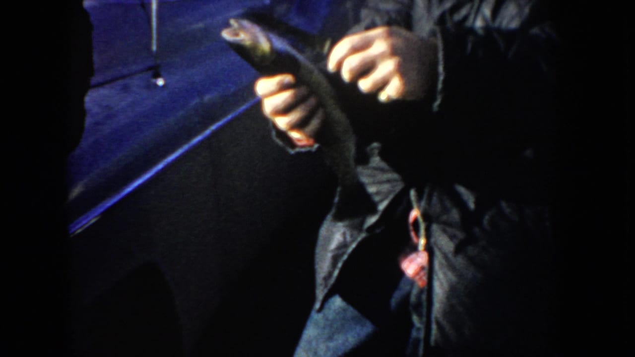 Close view of hands holding a fish beside a dark vehicle.