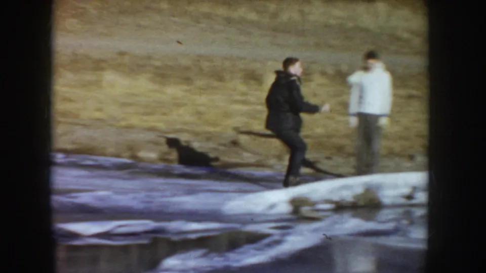 A skater moves near the edge of the frozen pond while a person in a white jacket and a dark dog stand nearby.