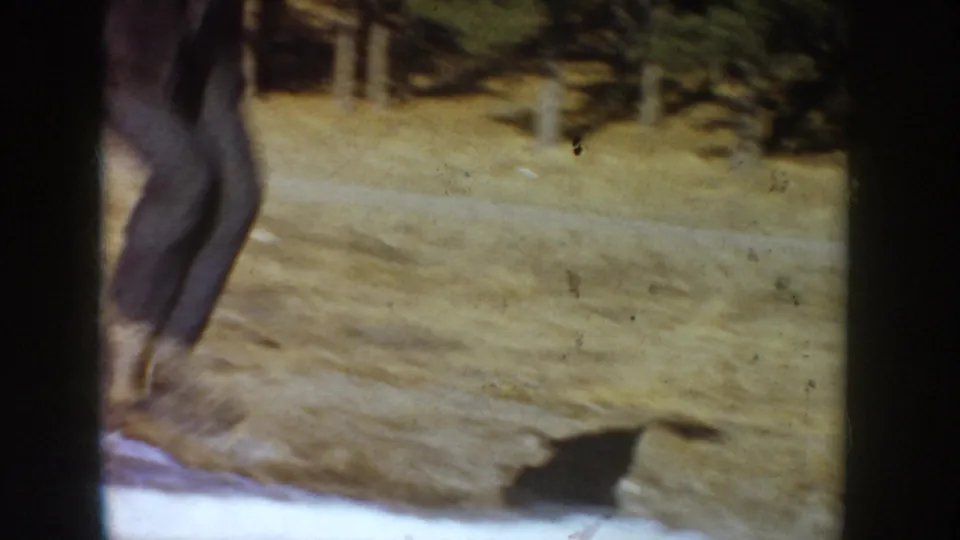 Skater's legs in dark trousers crossing a snowy ice surface with conifer trees and fence line behind; 8mm home movie, Idaho, circa 1955.