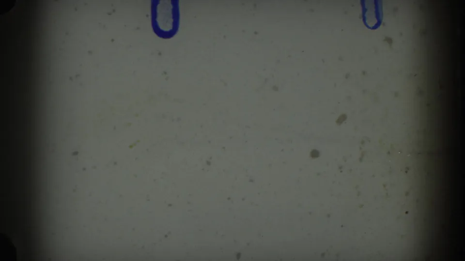 Degraded end frame from a circa 1955 Idaho 8mm reel: gray color shift, a blurry indistinct dark form, and blue U-shaped marker marks drawn on the physical film stock.