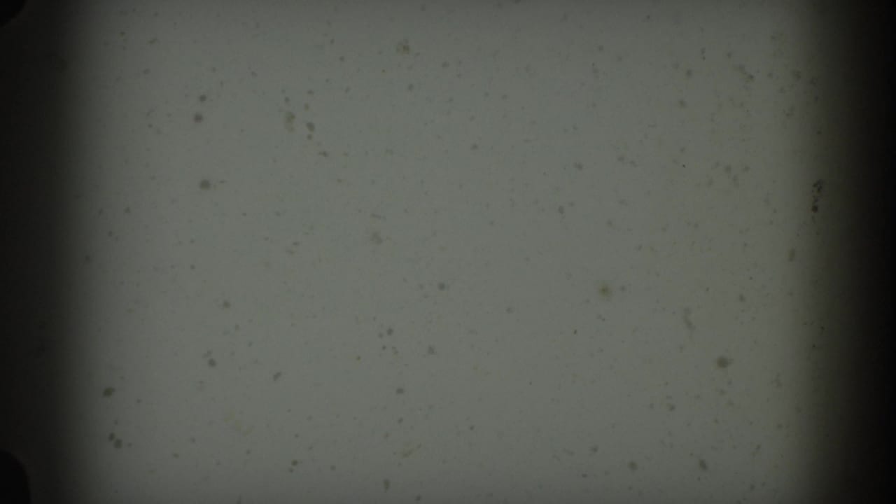 Blank or transitional 8mm film frame at clip opening, showing only film grain, dust speckles, and gate-edge vignette, c.1955.