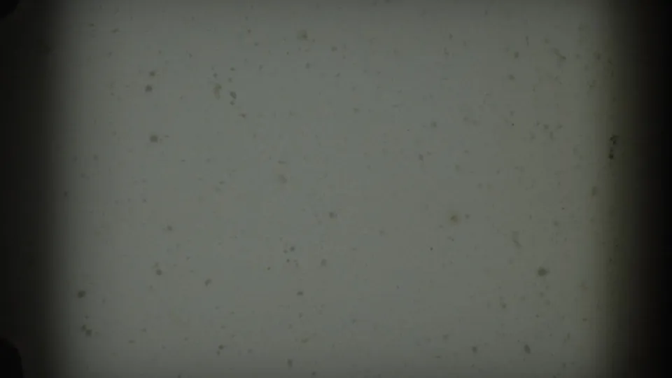 Blank or transitional 8mm film frame at clip opening, showing only film grain, dust speckles, and gate-edge vignette, c.1955.