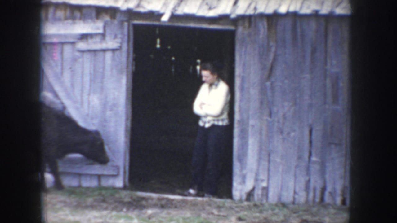 A woman with arms crossed stands in the open doorway of a weathered wooden barn as a black cow passes in front.
