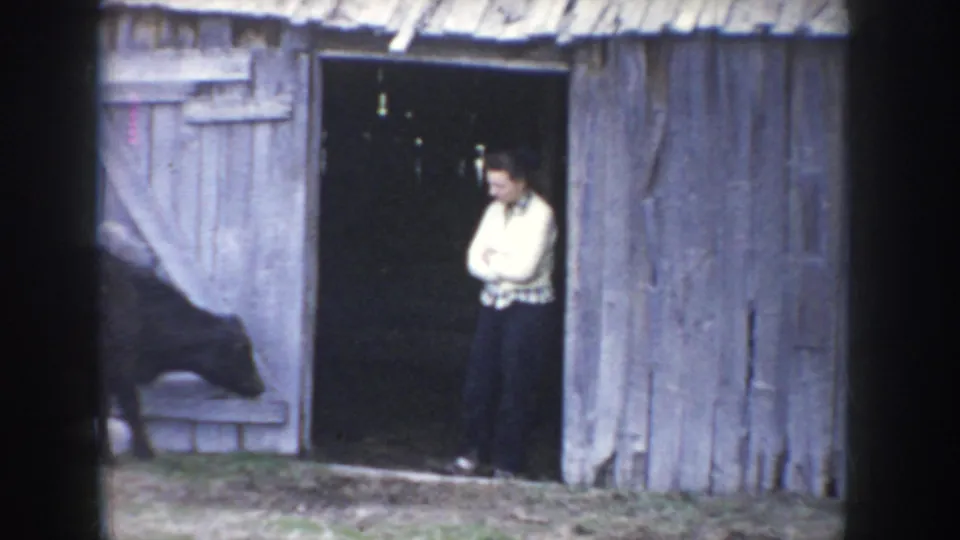 Woman in a light top and dark skirt stands arms-crossed in a barn doorway observing cattle, Idaho farm circa 1955, color 8mm.
