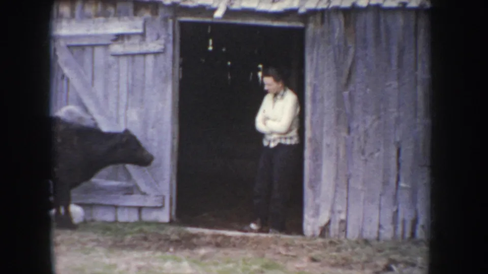 Woman with folded arms in weathered barn doorway with a black cow at lower left, Idaho farm setting circa 1955, color 8mm.