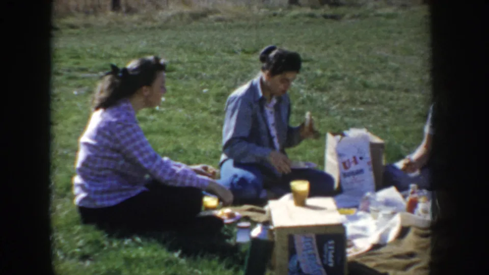 Three women at a 1950s Idaho outdoor picnic; a newcomer in a pink plaid top has joined the blanket, with the U-I branded bag, yellow cups, and food spread still visible around the group.