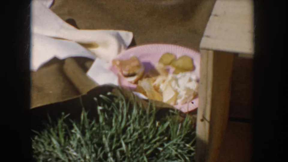 Close-up of a pink paper plate at an outdoor picnic, circa 1955, holding potato chips and other food items resting on green grass.