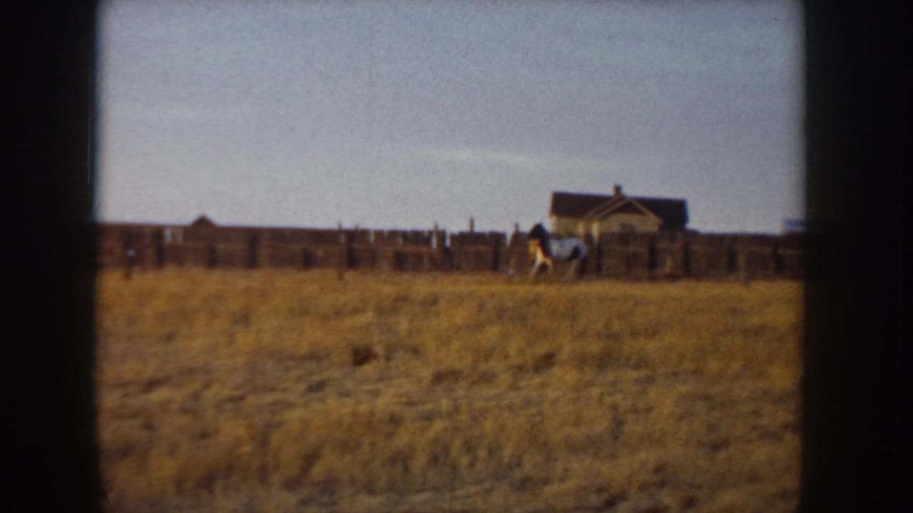 Horse and rider in an open field with wooden fence and a small rural building visible in the background.