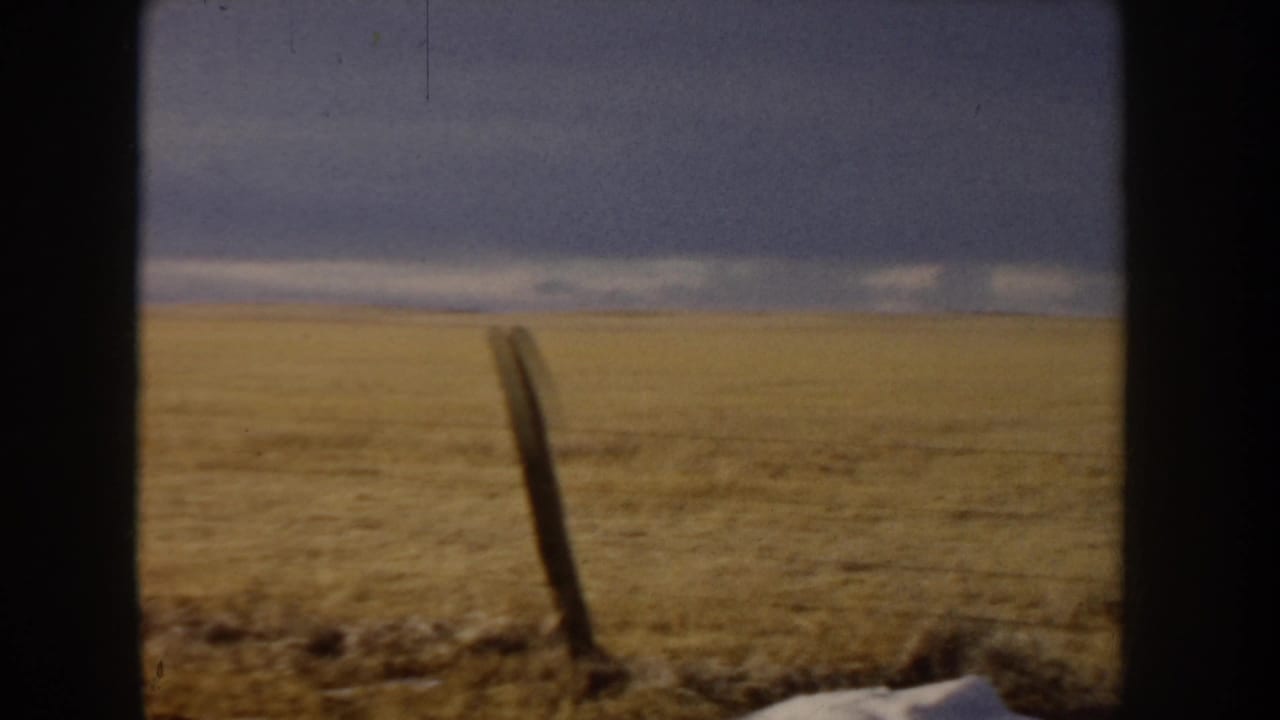 Wide flat golden grassland under a heavy overcast sky; a weathered wooden fence post stands in the foreground centre-right; 8mm film borders visible.