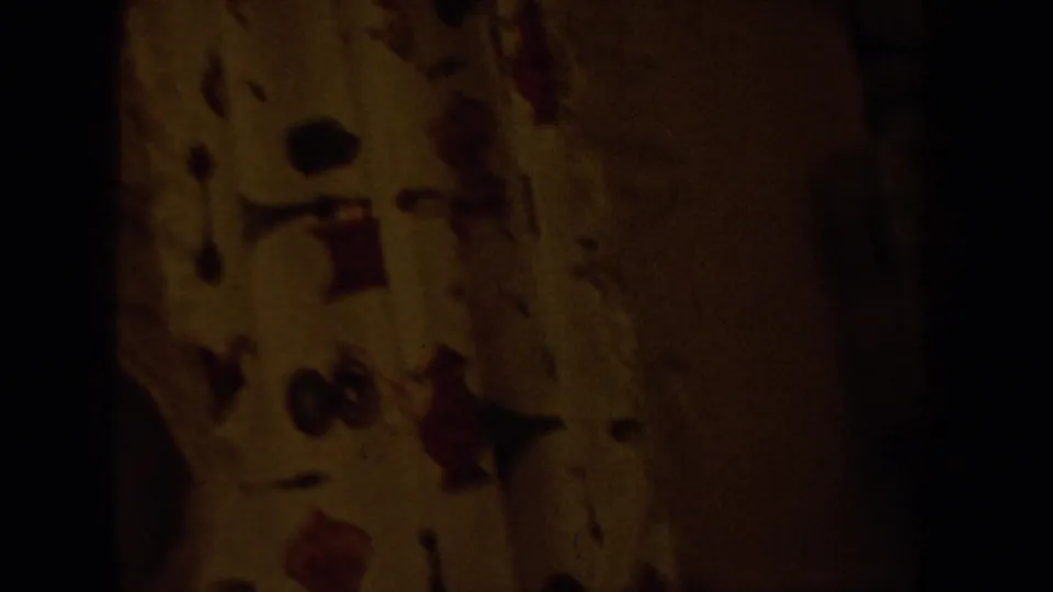 Soft 8mm interior frame from the Idaho home movie, showing a dim patterned surface or hanging textile with heavy shadow and film-edge darkness.