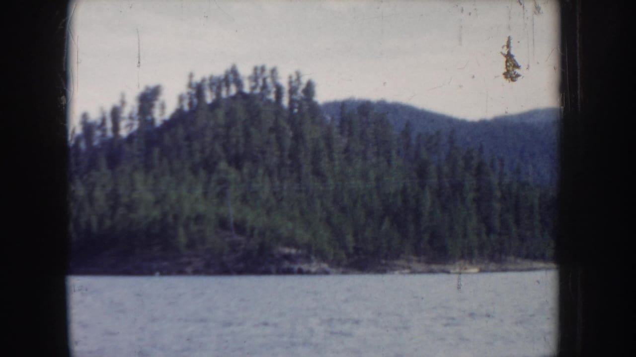 1950s 8mm home movie frame showing a densely forested hillside and calm lake in what is described as Idaho, USA; film grain and emulsion spotting present.