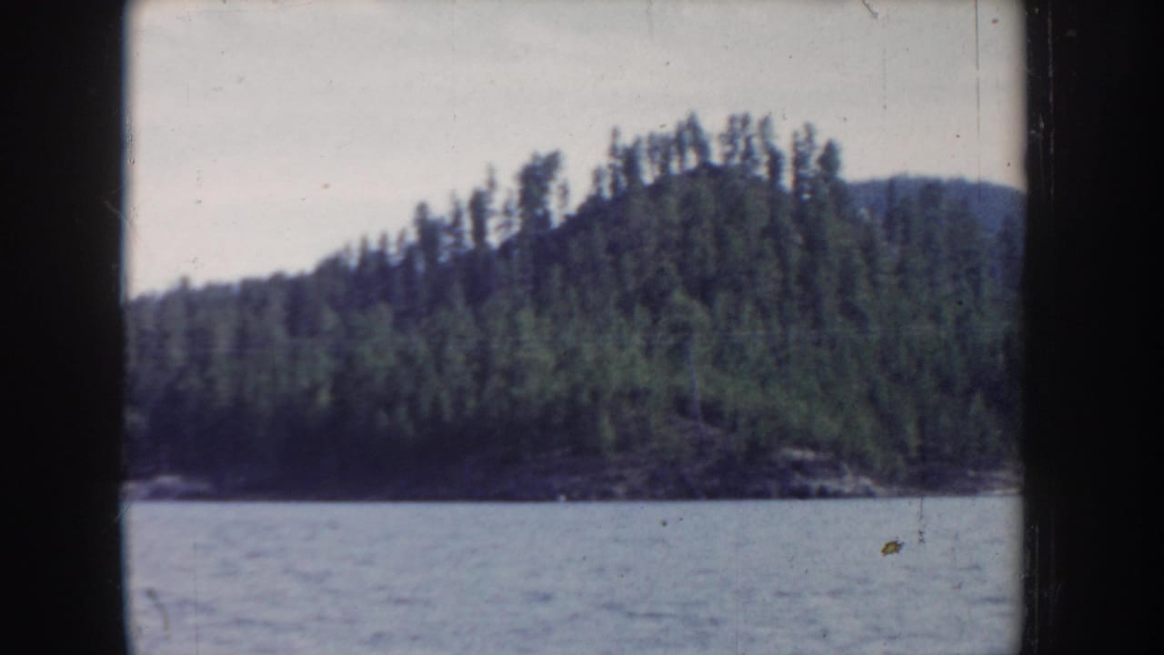 Conifer-covered hillside along a lake shoreline under pale sky, viewed from a moving boat; film grain and mild scratches visible.