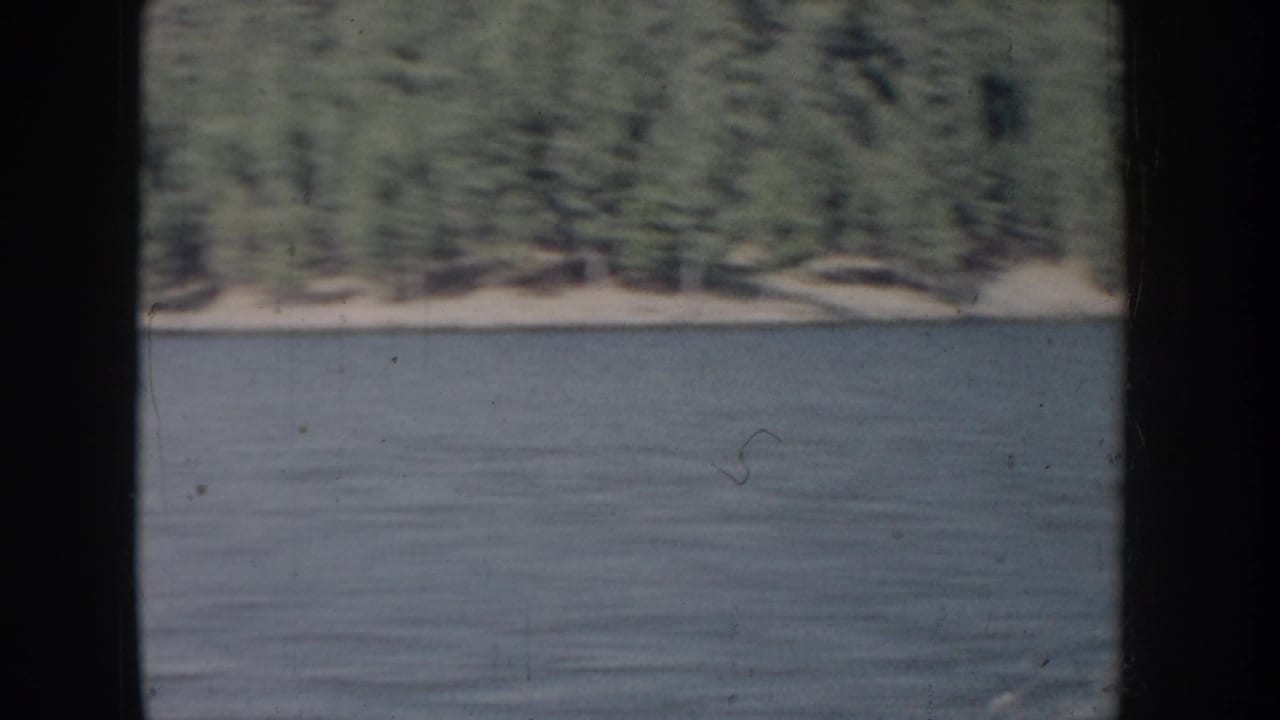 Calm blue-grey lake surface with a dense conifer shoreline and a sandy bank under muted 8mm color.