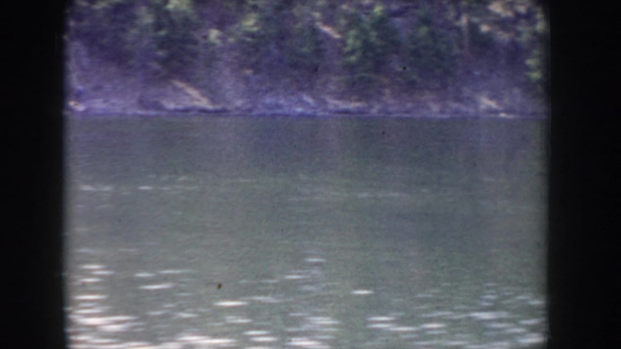 Expansive lake surface with light reflections and a tree-lined far shore under a pale sky strip.