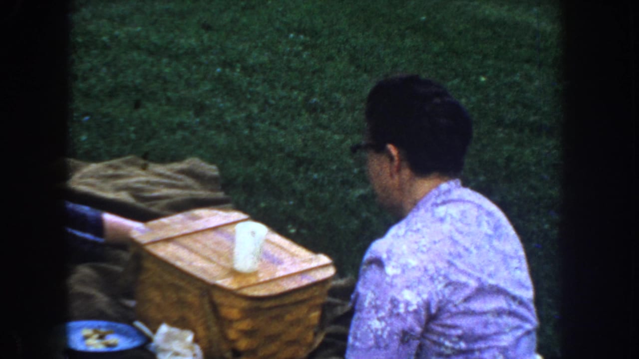 Older woman in a patterned floral blouse at a family picnic with wicker basket and blue plate on green grass, likely Idaho, circa 1955, 8mm color.