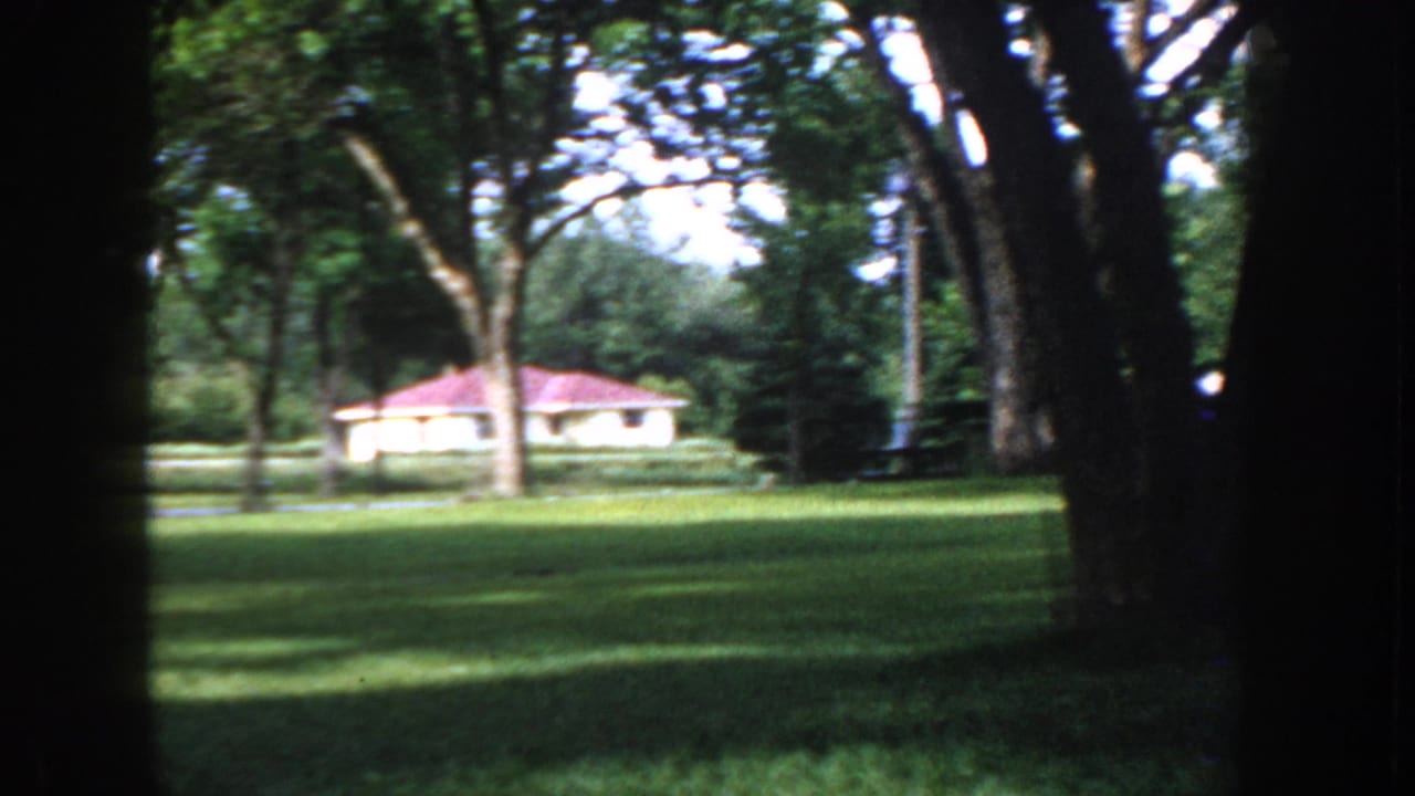 8mm home movie frame, Idaho circa 1955: large shade-tree trunks frame a sunny suburban lawn, with a modest low-pitched house bearing a red roof visible in the background.