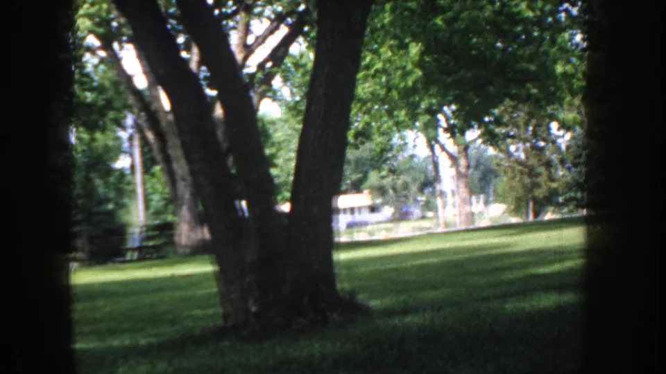 8mm home movie frame circa 1955 Idaho: tree-lined suburban lawn seen between large foreground trunks, with a building or structure partially entering the far left of the frame.