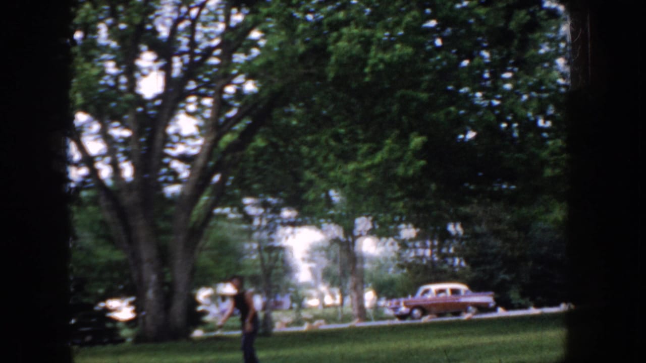 Man in dark shirt and pants stands on a grassy park lawn, likely Idaho circa 1955; a period two-tone sedan passes on the road behind him beneath mature deciduous trees.