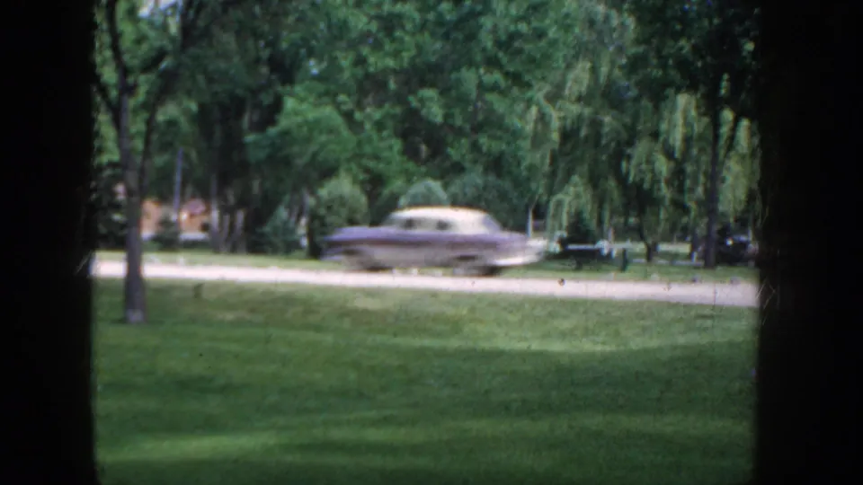 A light-colored 1950s-era American automobile on a park path, mature trees including a weeping willow visible behind, Idaho, c. 1955.