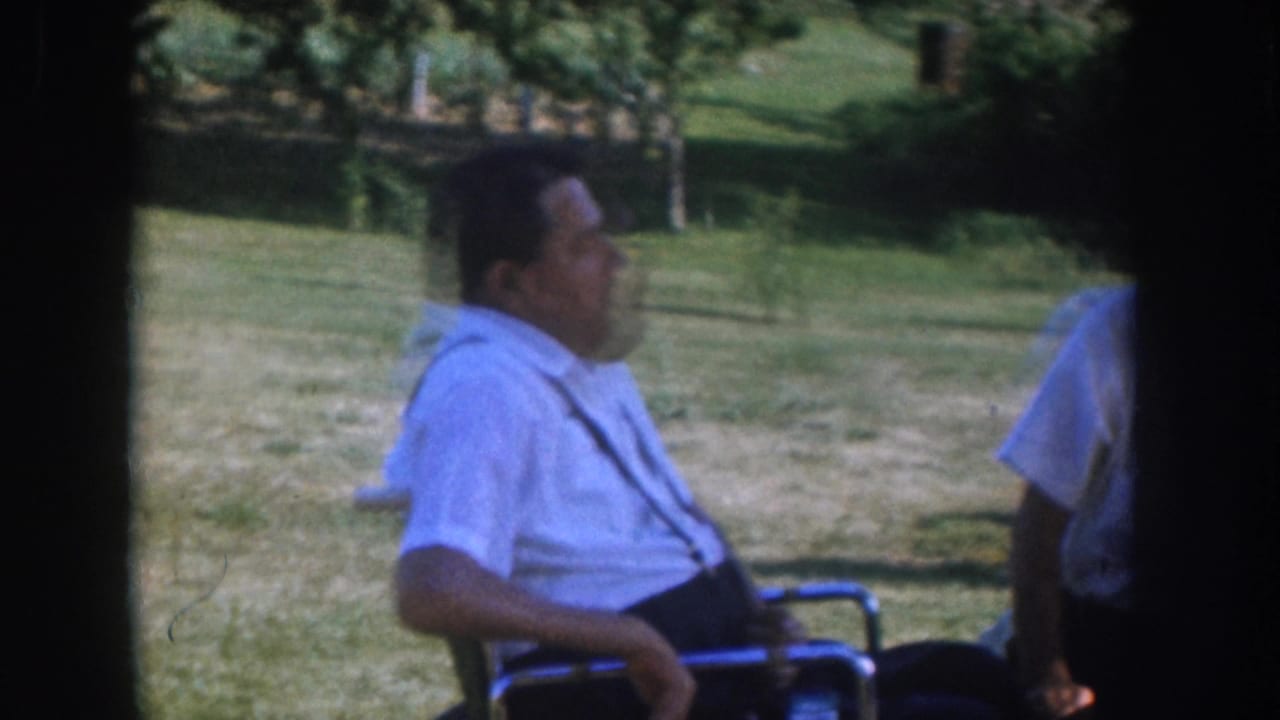 Man seated in a mid-century manual wheelchair in light blue short-sleeve shirt, looking to his right; bright green lawn and shade trees behind, c.1955 Nebraska.