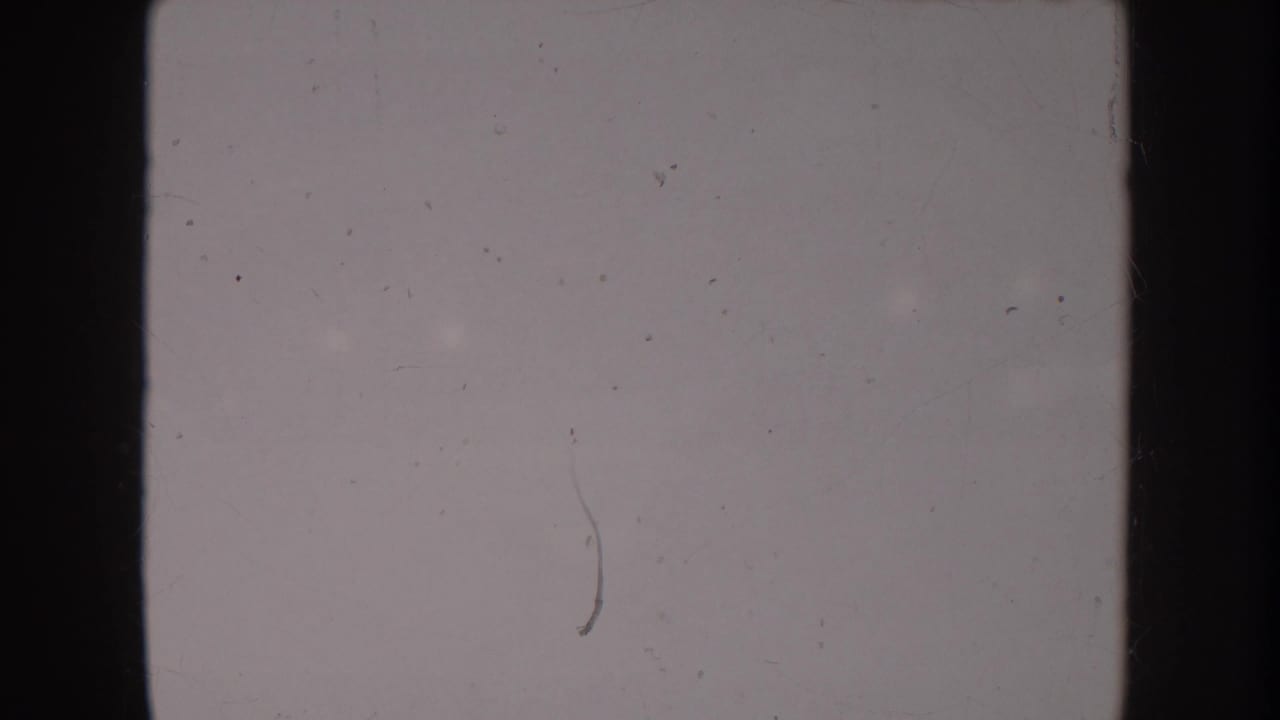 Blank or overexposed 8mm leader frame at clip opening; no subject or background detail discernible.